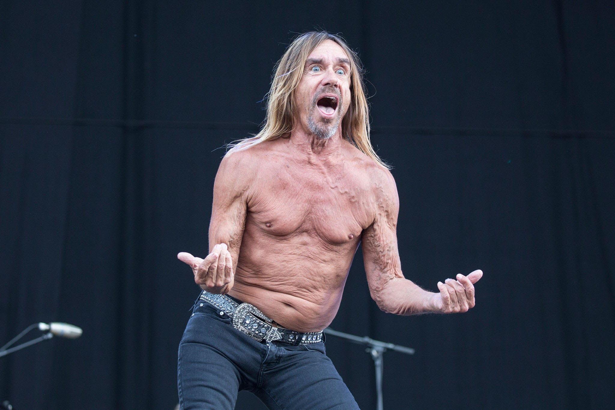 METAL INSIDER: Iggy Pop claims he was once approached to join AC/DC